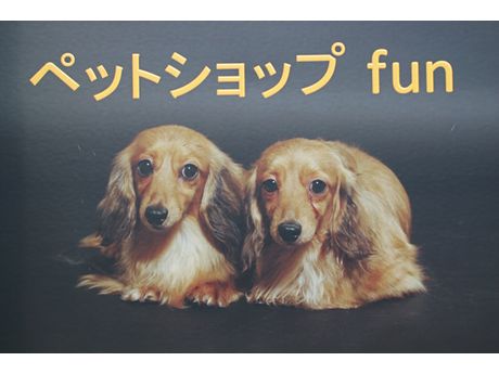 ペットショップfun ペット まいぷれ 松江 ペットショップfun ペット まいぷれ 松江