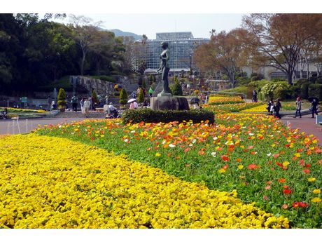 広島市植物公園 映画館 美術館 まいぷれ 広島市佐伯区