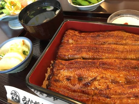 うなぎ太介 和食 まいぷれ 八千代市 うなぎ太介 和食 まいぷれ 八千代市