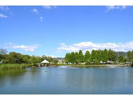 門真市立弁天池公園 もっといろいろ まいぷれ 守口 門真 門真市立弁天池公園 もっといろいろ まいぷれ 守口 門真
