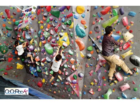 クライミングジム Cocorock ココロック スポーツクラブ ジム等 まいぷれ 朝霞 志木 新座 和光