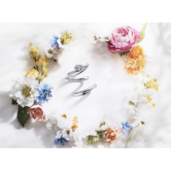 Bijoupiko 高知店 ファッション アクセサリー まいぷれ 高知