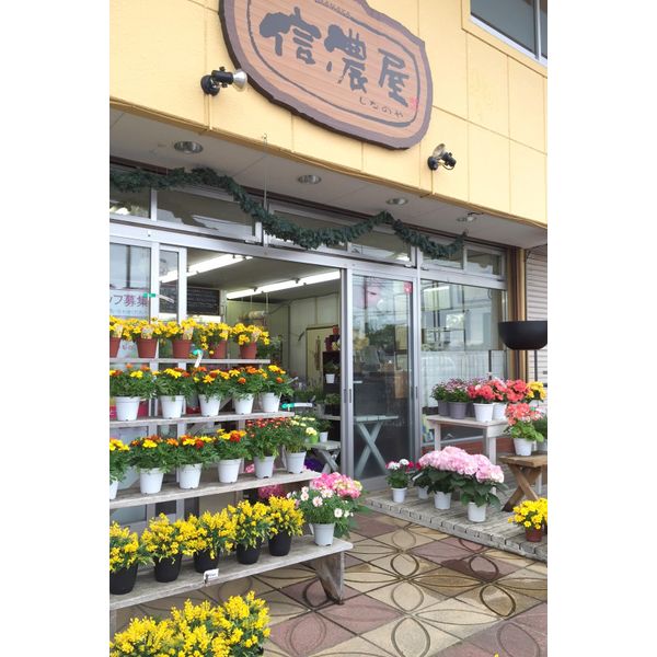 フラワーショップ 信濃屋 花 ガーデニング きらきらホットなすしおばら 那須塩原市 フラワーショップ 信濃屋 花 ガーデニング きらきらホットなすしおばら 那須塩原市