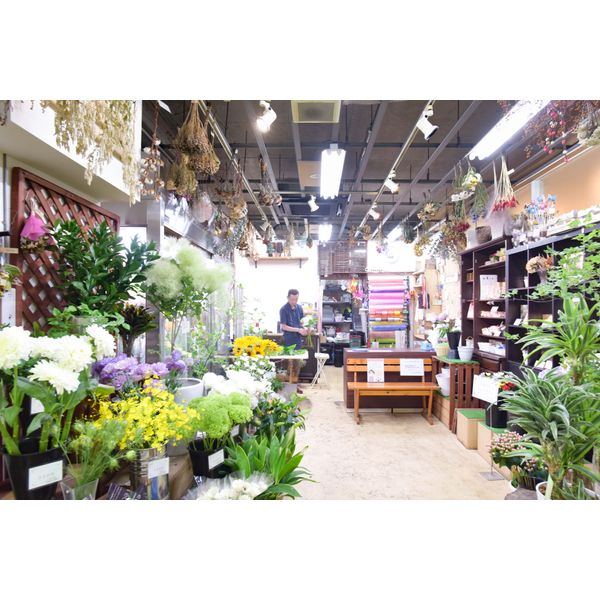 Flower Shop Hana Club 花 ガーデニング まいぷれ 八千代市