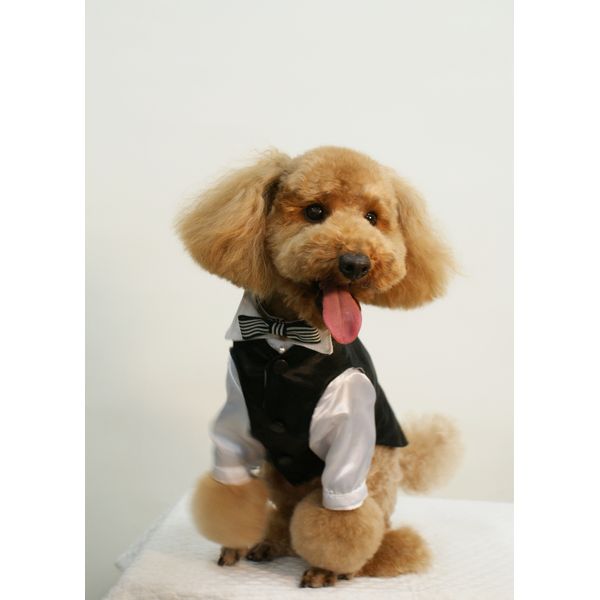 手作りサロン合 あい アート カルチャースクール まいぷれ 八王子市