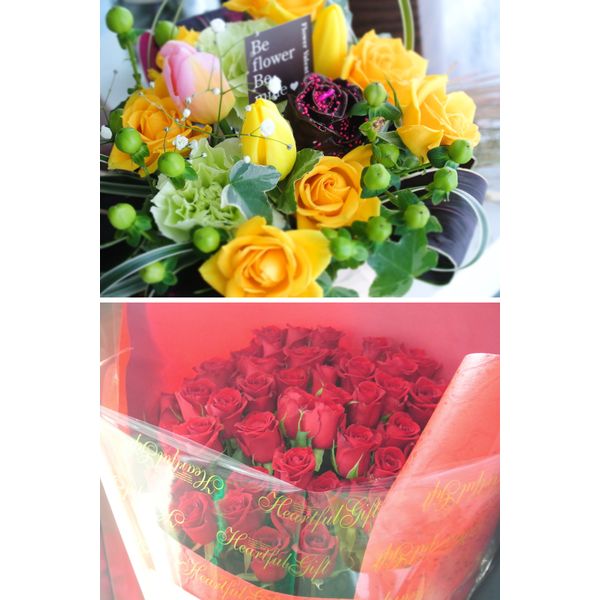 小樽市 まいぷれ