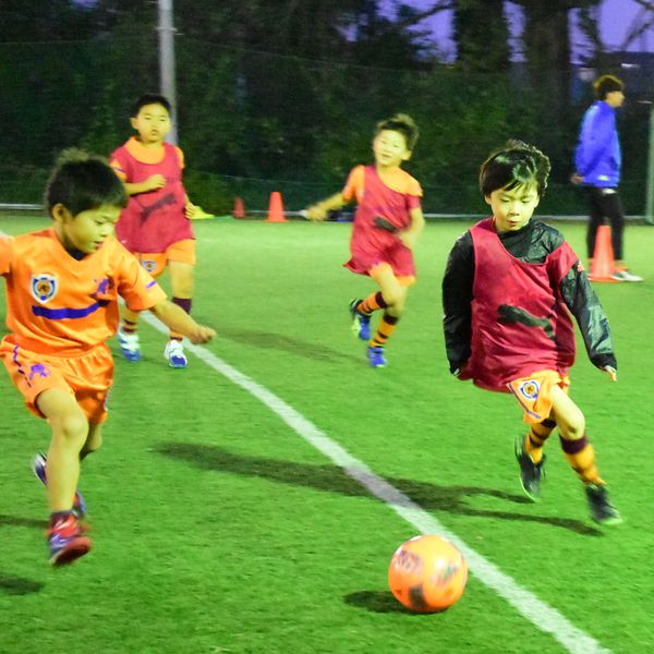 Npoフッチスポーツクラブ スポーツクラブ ジム等 まいぷれ 市川市 Npoフッチスポーツクラブ スポーツクラブ ジム等 まいぷれ 市川市