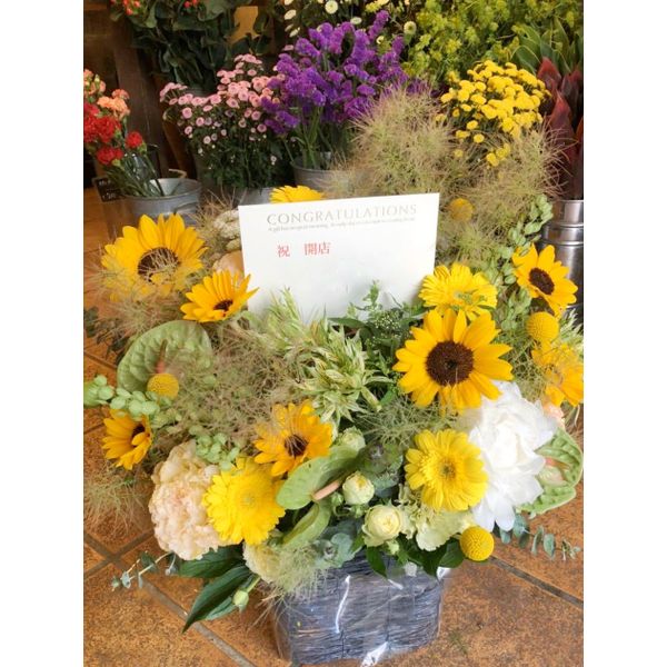 芽ぶき屋 本八幡店 花 ガーデニング まいぷれ 市川市 芽ぶき屋 本八幡店 花 ガーデニング まいぷれ 市川市