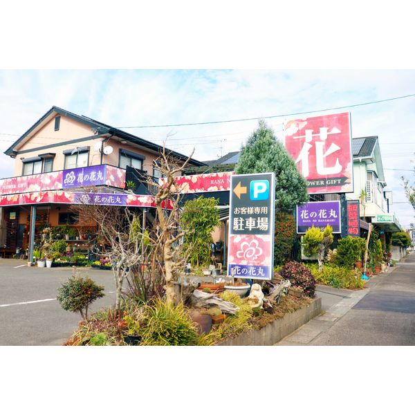 花の花丸 花 ガーデニング まいぷれ 薩摩川内市 さつま町 花の花丸 花 ガーデニング まいぷれ 薩摩川内市 さつま町